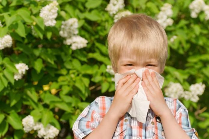 Allergie Primaverili Allergie primaverili, sintomi e rimedi naturali: consigli per bambini