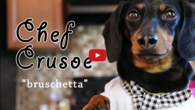 Photo of Cane che cucina? Chef Crusoe incanta il web (Video)