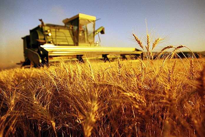 imu-terreni-agricoli IMU Terreni Agricoli 2015: Calcolo, Scadenza ed Esenzioni