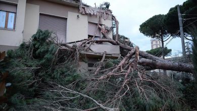 Photo of Maltempo Sicilia: Palermo e provincia le zone con più danni