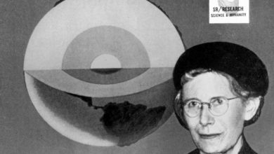 Photo of Google celebra Inge Lehmann con un Doodle