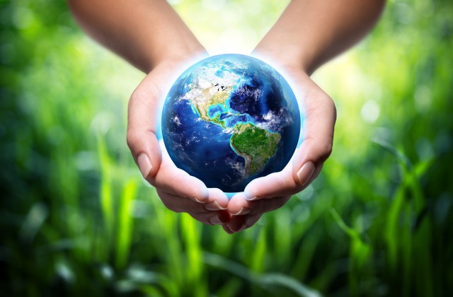 Giornata Ambiente Giornata Mondiale dell'Ambiente: all'Expo Milano 2015 si festeggia
