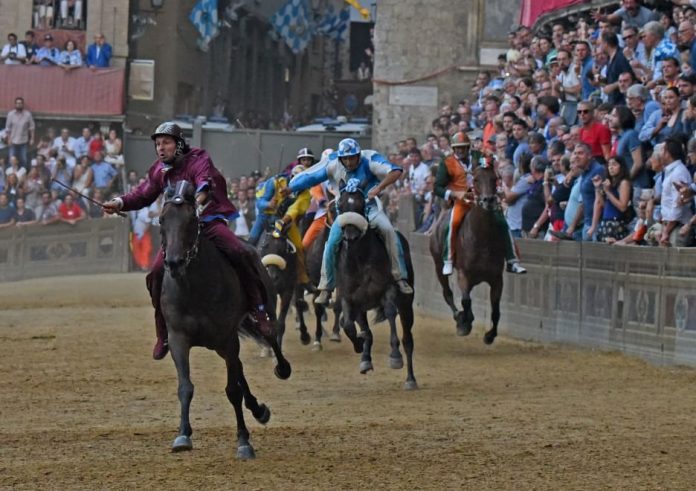 palio-di-siena Palio di Siena 2015: vince la Torre la prima gara