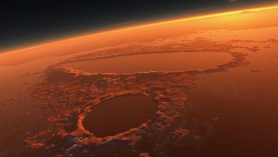 Photo of NASA: Patate piantate su Marte nei prossimi anni