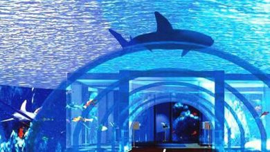 Photo of Acquario di Roma, apertura e prezzi