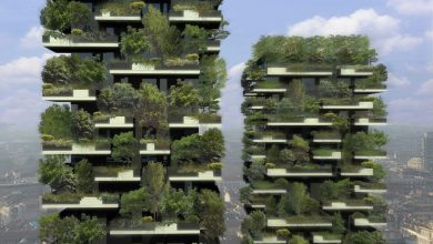 Photo of Bosco Verticale a Milano è il grattacielo più bello del mondo