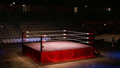 Photo of Boxe: Tutti gli incontri 2016