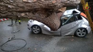 Photo of Albero caduto a Roma oggi, due Morti sulla Laurentina