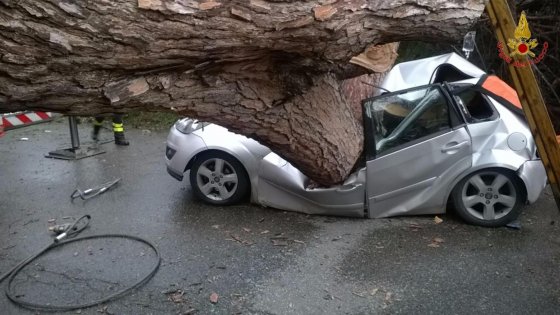 Albero caduto a Roma oggi, due Morti sulla Laurentina