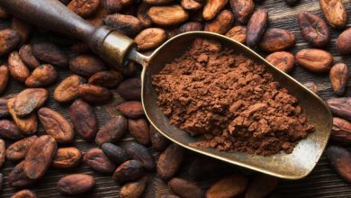 Photo of Cacao: proprietà, benefici per la salute e controindicazioni