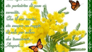 Photo of Festa della donna: Significato festività 8 Marzo