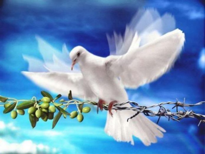 palme domenica Domenica delle Palme 2016: Frasi e Immagini per Auguri 2