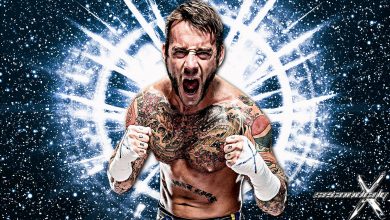 Photo of WWE Cm Punk: Presto il ritorno?