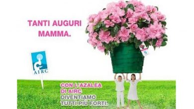 Photo of Azalea AIRC per Festa della Mamma: Un regalo che aiuta la lotta ai Tumori