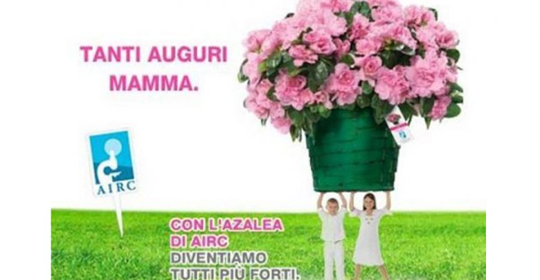 Azalea AIRC per Festa della Mamma: Un regalo che aiuta la lotta ai Tumori