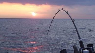 Photo of 8° Campionato del Mondo Master di Pesca al Colpo Irlanda Craigavon 5-6 Giugno 2016