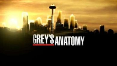 Photo of Grey’s Anatomy: Streaming Settima Puntata 13×07