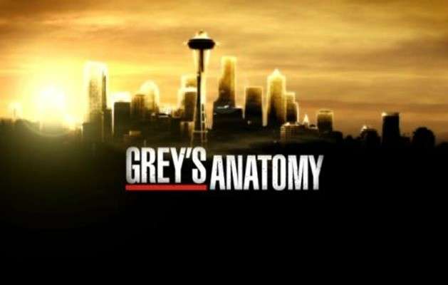 Anticipazioni Grey's Anatomy: Diciassettesima Puntata (9 maggio 2016)