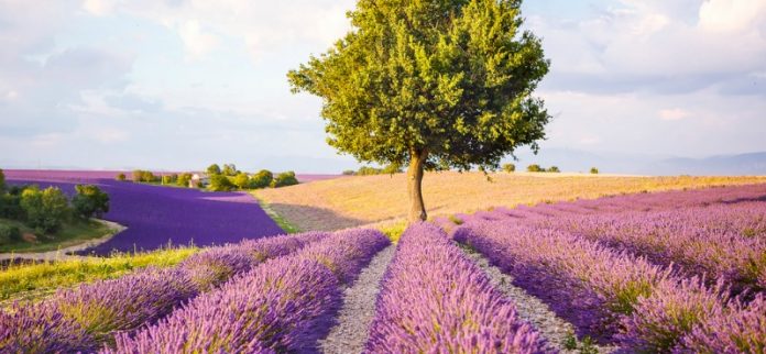 Provenza-Vacanze Vacanze Estate 2016 in Provenza: Cosa vedere