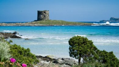 Photo of Crociera in Catamarano in Sardegna: itinerario e cosa visitare