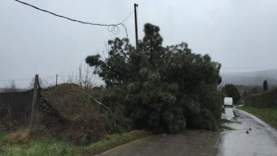 Photo of Tromba d’aria ad Arezzo: Un ferito grave