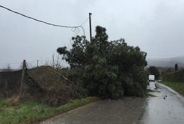 Tromba d'aria ad Arezzo: Un ferito grave