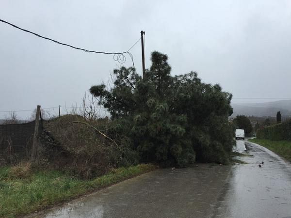 45-vento-arezzo Tromba d'aria ad Arezzo: Un ferito grave