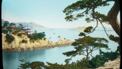 Photo of Mostra Gento-Ban a Torino: Programma Completo