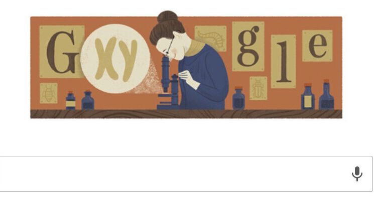 Chi è Nettie Maria Stevens: Scienziata Doodle Google 7 luglio 2016