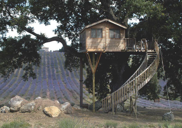 vacanze relax casa sull' albero Vacanze Relax Lazio Estate 2016: Migliori offerte low cost