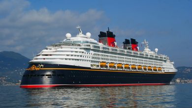 Photo of Salerno, Nave Disney Magic attracca al porto (Video)