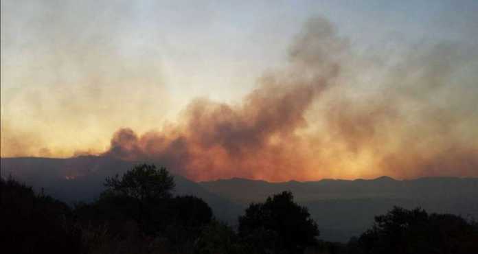incendio-cilento Incendio nel Cilento, il Golfo di Policastro brucia (Video e Foto)