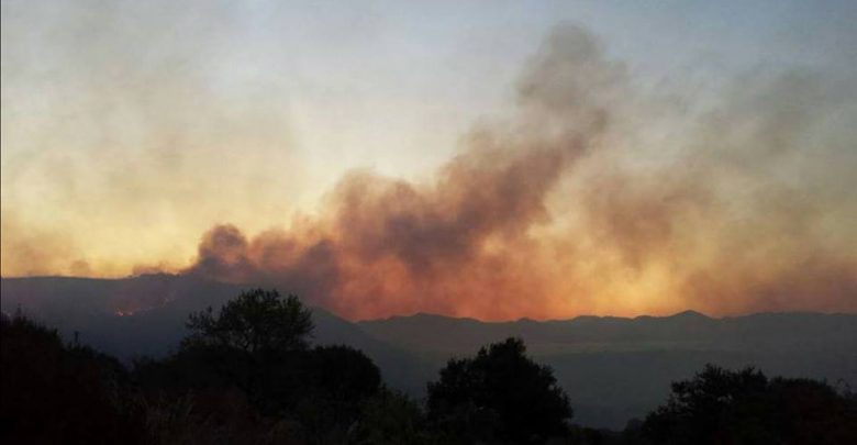 Incendio nel Cilento, il Golfo di Policastro brucia (Video e Foto)