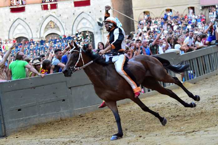 palio di siena lupa Palio di Siena 2016: Lupa vincitore