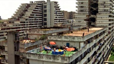 Photo of Ragazzo muore precipitando da una delle vele di Scampia