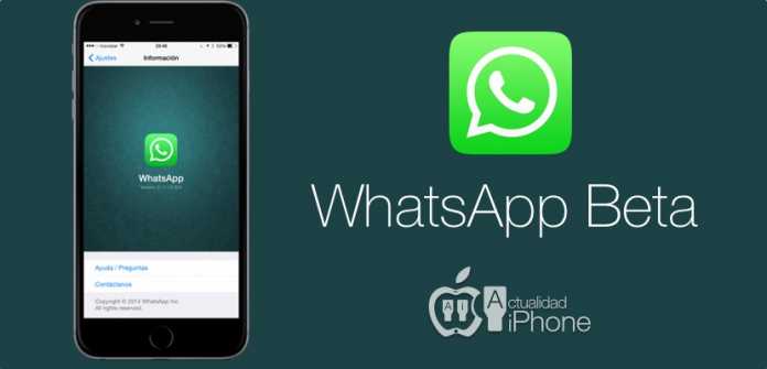 whatsapp-beta WhatsApp Beta: come funziona la nuova chat?