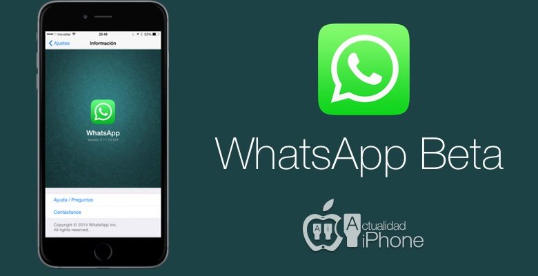 WhatsApp Beta: come funziona la nuova chat?