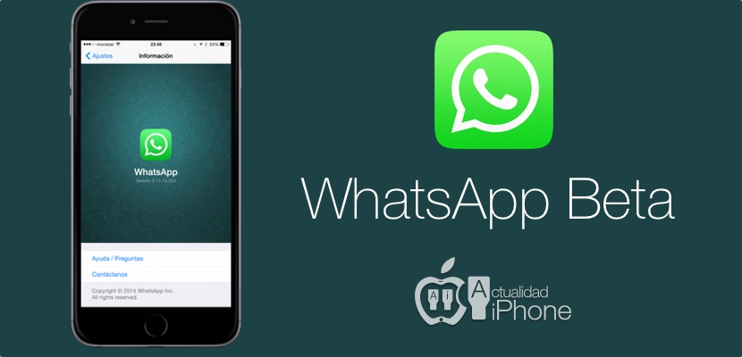 WhatsApp Beta: come funziona la nuova chat?
