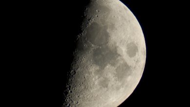 Photo of La Notte della Luna: 8 ottobre è dedicato al MoonWhatch