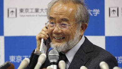 Photo of Ohsumi vince il Nobel per la medicina: ecco chi è il biologo