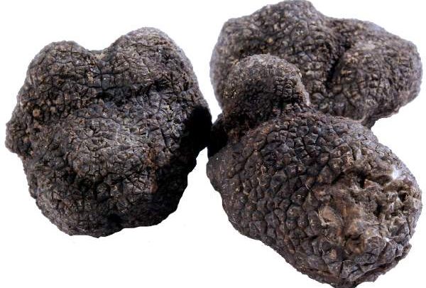 Sagra della Castagna e del Tartufo Nero a Bagnoli Irpino: date e programma completo