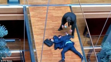 Photo of Rissa al Parlamento Europeo a Strasburgo, deputato Woolfe ricoverato