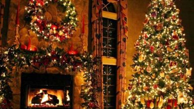 Photo of Alberi di Natale e decorazioni: le più chic ed eleganti per decorare l’albero