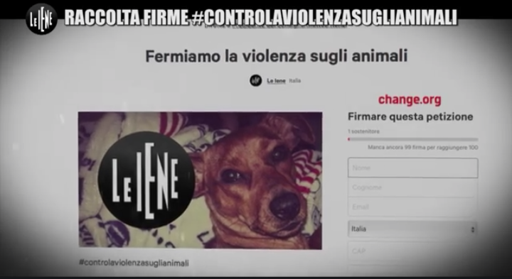 Servizio Nina Palmieri contro la violenza sugli animali a Le Iene (video 6 novembre) 2