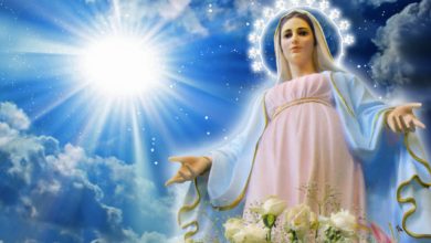 Photo of Immacolata Concezione, 8 dicembre 2016: Storia e Significato