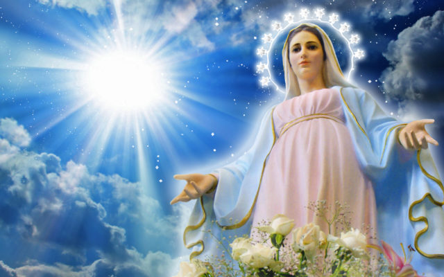 Auguri per Immacolata 2016: Frasi e Immagini per Whatsapp e Facebook 6