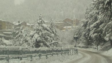 Photo of Meteo Calabria, Neve e temperature gelide in tutta la Regione: Foto e Video