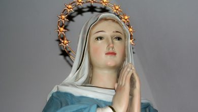 Photo of Immacolata 2016, le frasi di Auguri di Papa Francesco