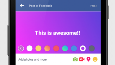 Photo of Stati Colorati su Facebook: Cosa Sono e Come Funzionano