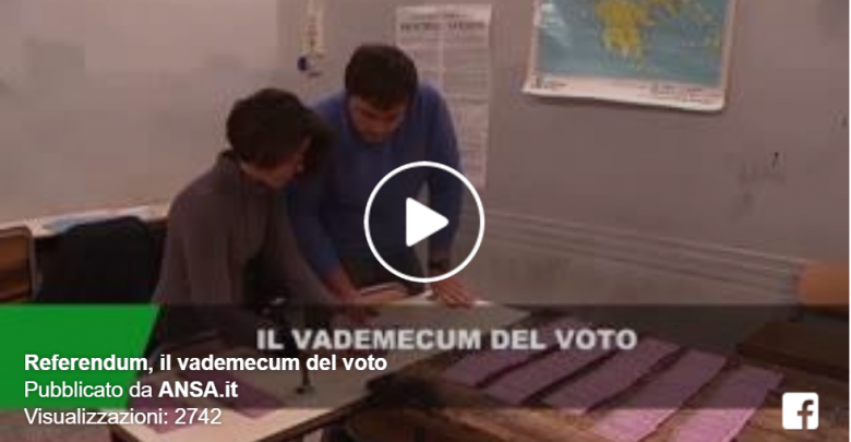Vademecum Ansa, Come si vota per il Referendum?